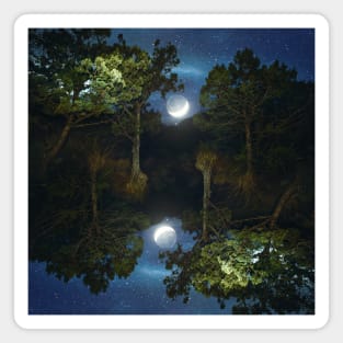 Moonset in coniferous forest Magnet